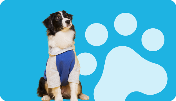 Dog with blue paw print background