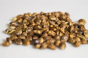 Is Hemp Seed Oil Good for Dogs? Skin, Coat, Mobility