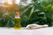 Hemp Seed Oil vs CBD Oil for Pets: Key Differences
