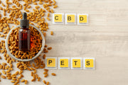 CBD for Pets Explained: The Truth About Safety & THC-Free