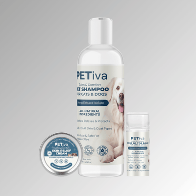 Skin & Coat Bundle